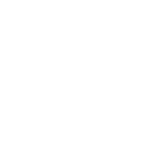 Wild in Art Footer logo